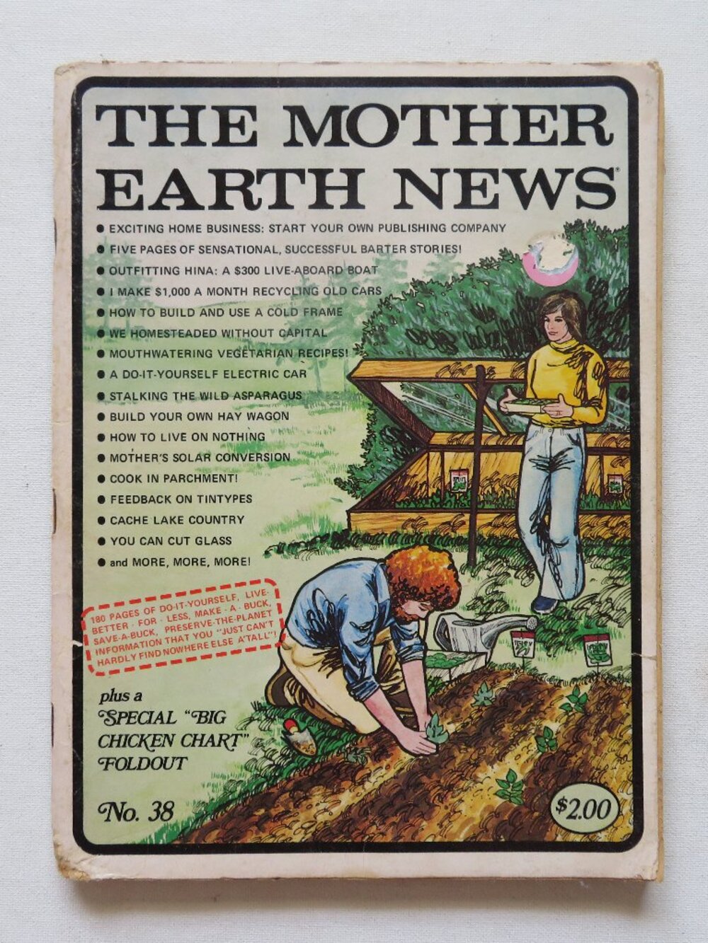 The Mother Earth News March 1976 No. 38 Farming Homesteading Magazine